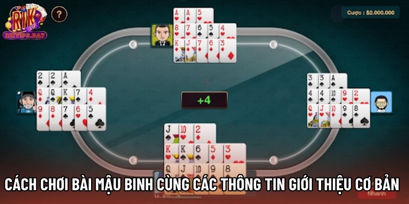 Cách chơi bài Mậu Binh cùng các thông tin giới thiệu cơ bản Cách chơi bài Mậu Binh cùng các thông tin giới thiệu cơ bản