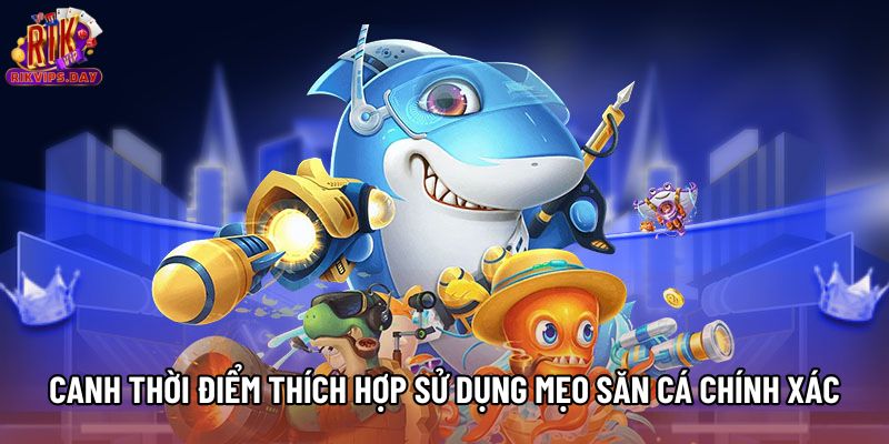 Canh thời điểm thích hợp sử dụng mẹo săn cá chính xác