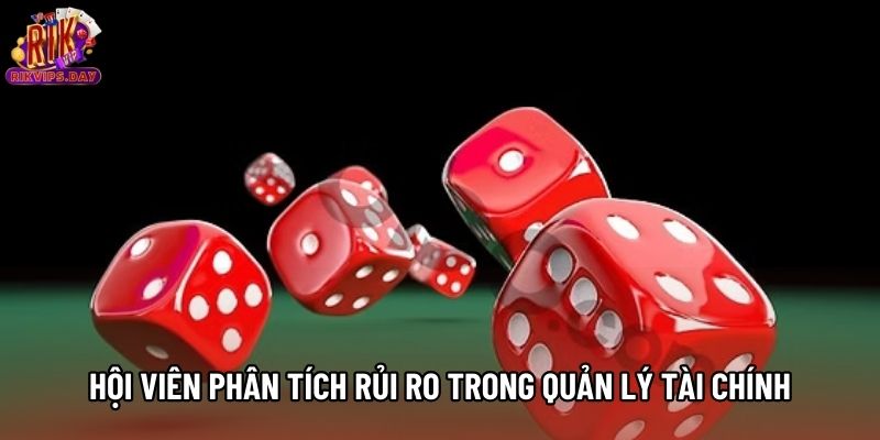 Hội viên phân tích rủi ro trong quản lý tài chính