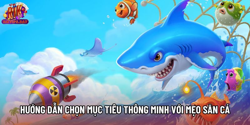 Hướng dẫn chọn mục tiêu thông minh với mẹo săn cá